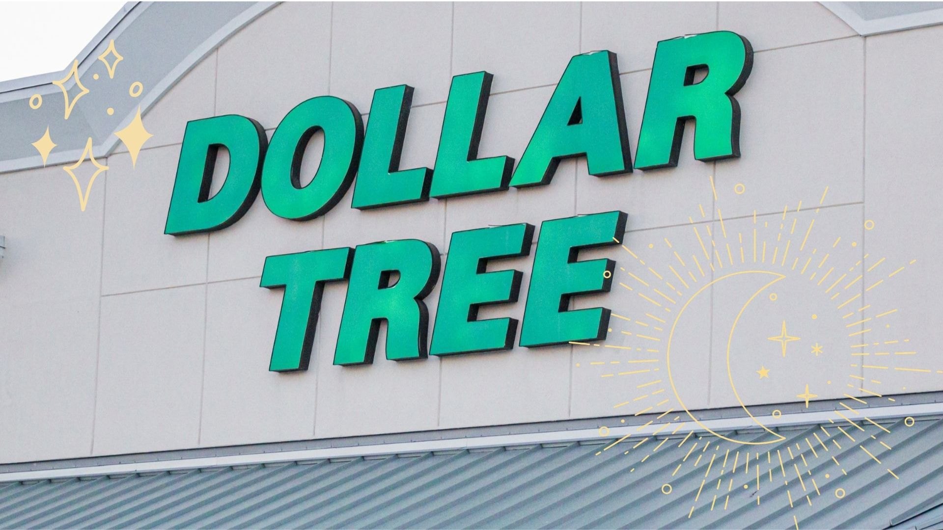 Embrace Your Inner Romantasy Lover With Dollar Tree’s Unique Sarah J. Maas-Inspi...