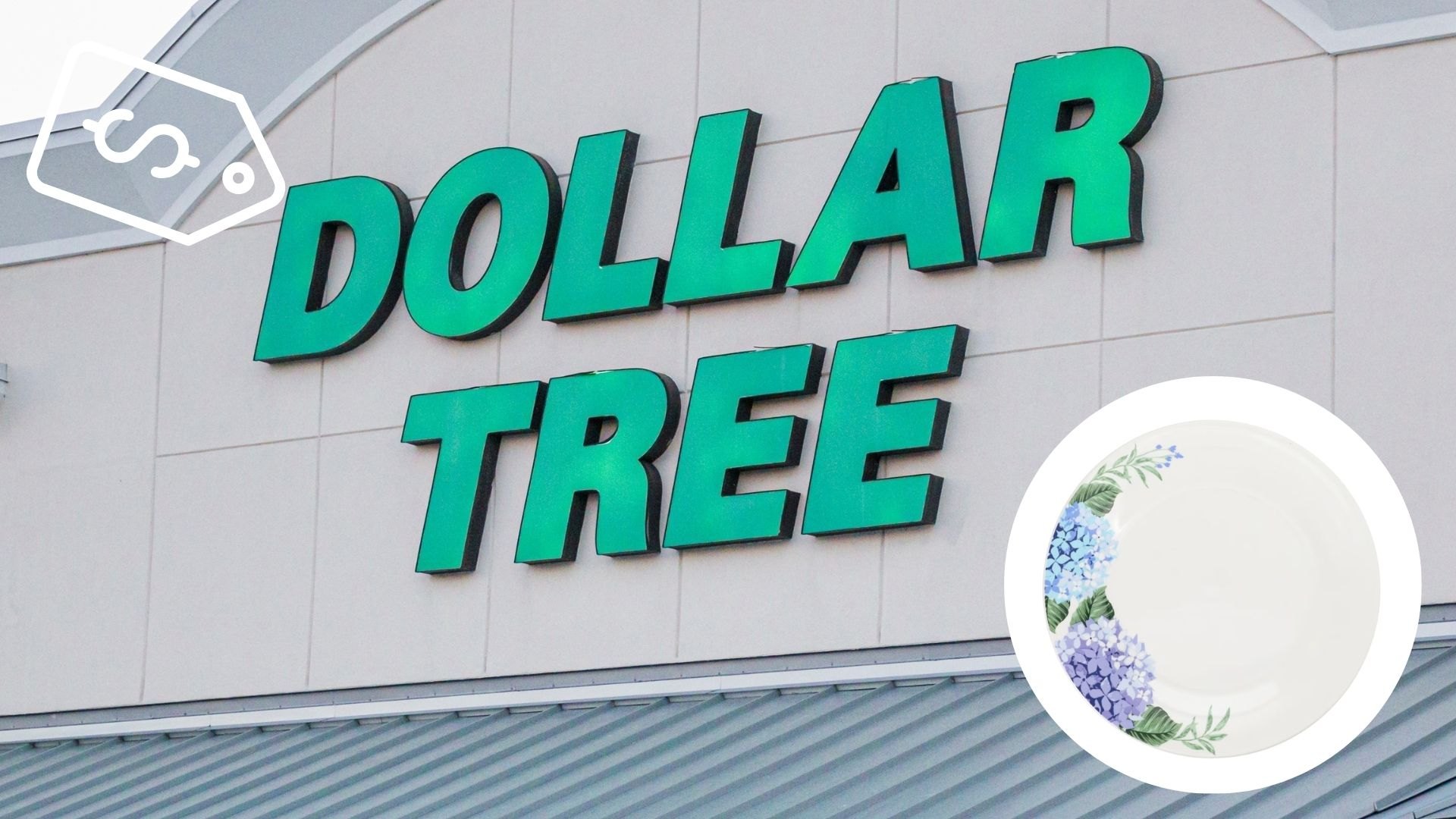 4 Dollar Tree Finds Actually Worth Your Money: Dishware, Storage and More for $1...