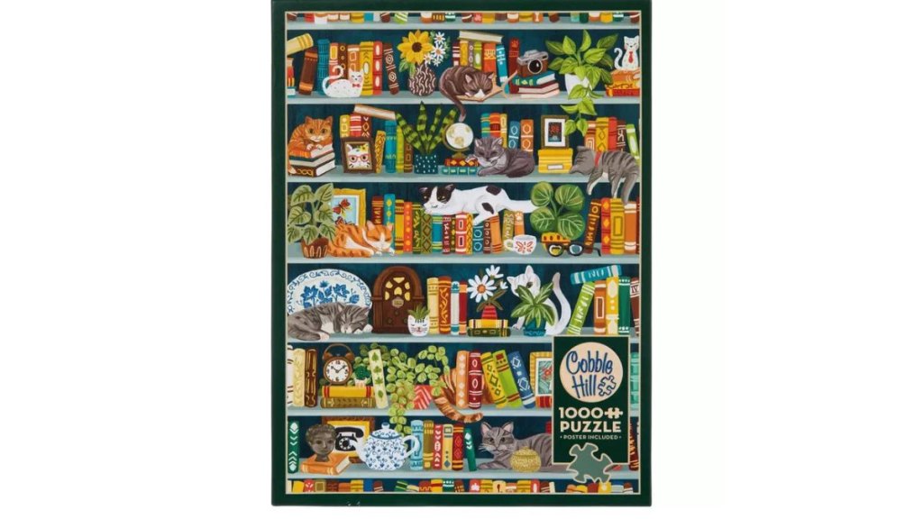 Bookshelf puzzle