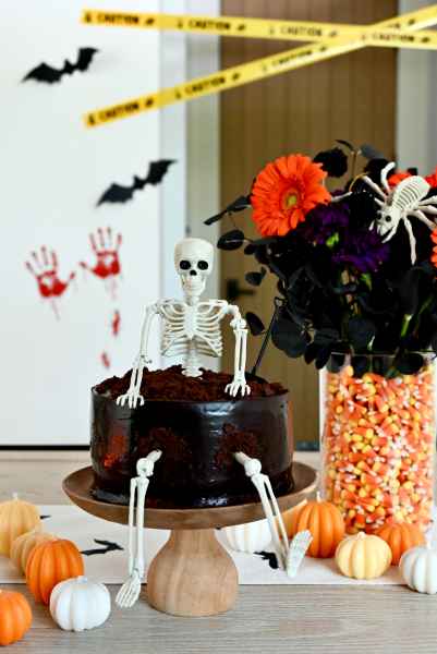 Chocolate Skeleton Cak