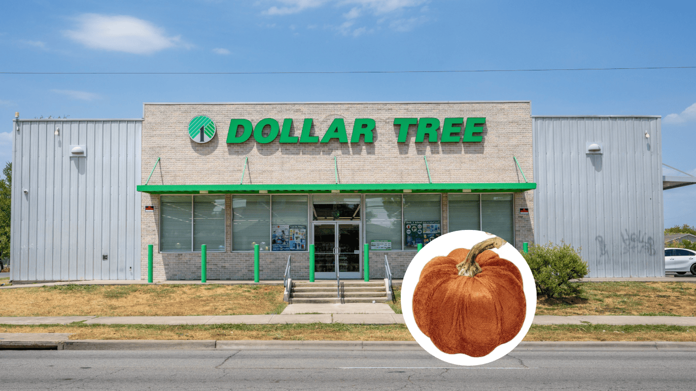 Forget Ralph Lauren Prices—Dollar Tree Has the Same Fall Look for $5
