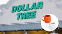Halloween Kitchen Decor at Dollar Tree
