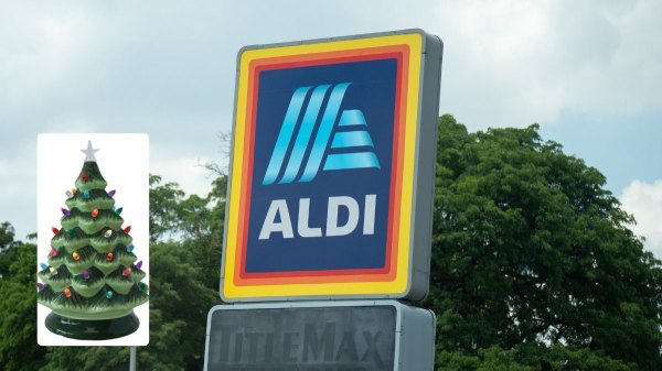 aldi christmas