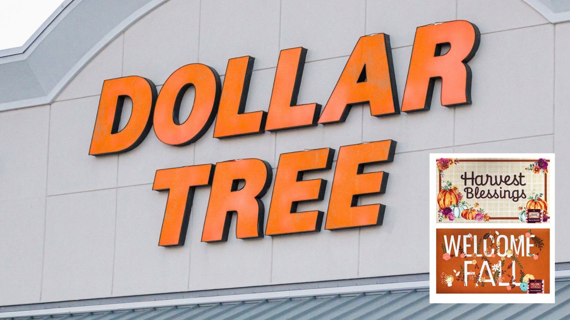 dollar tree mats