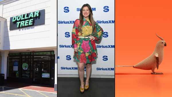 Kelly Clarkson, Dollar Tree and Molly the Art of Play bird lookalike