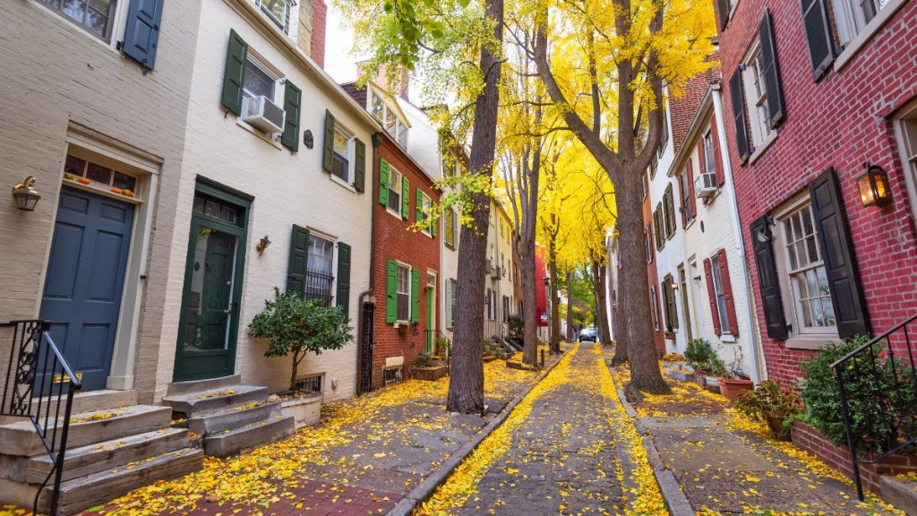 philly neighborhood fall