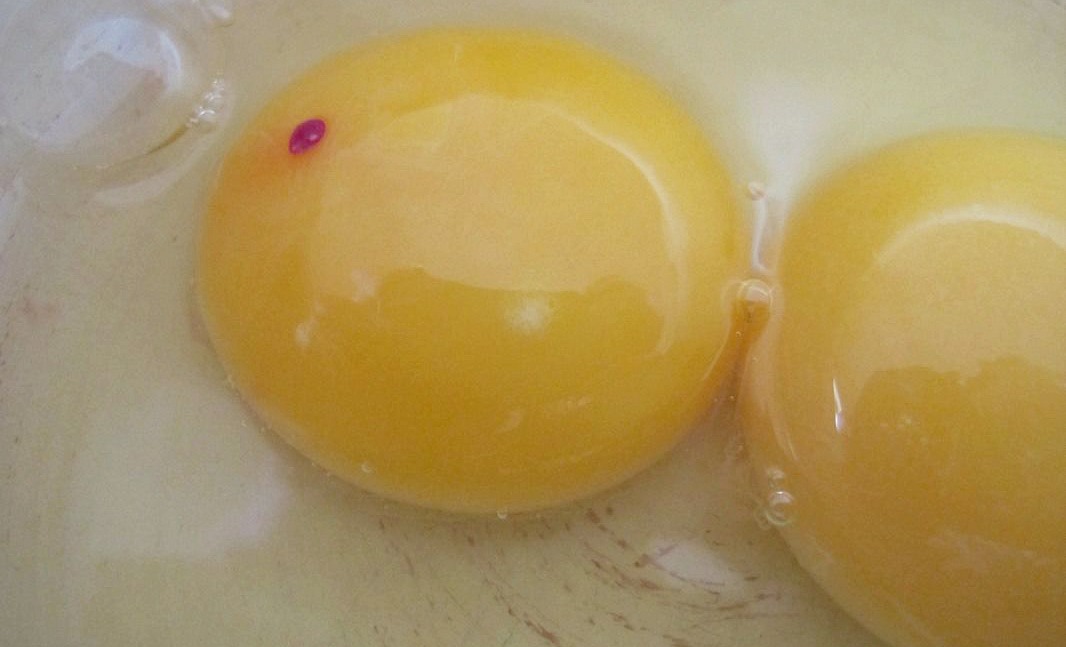 Gamle tider beskyldninger overgive Blood Spot In Egg? First Off, Don't Panic
