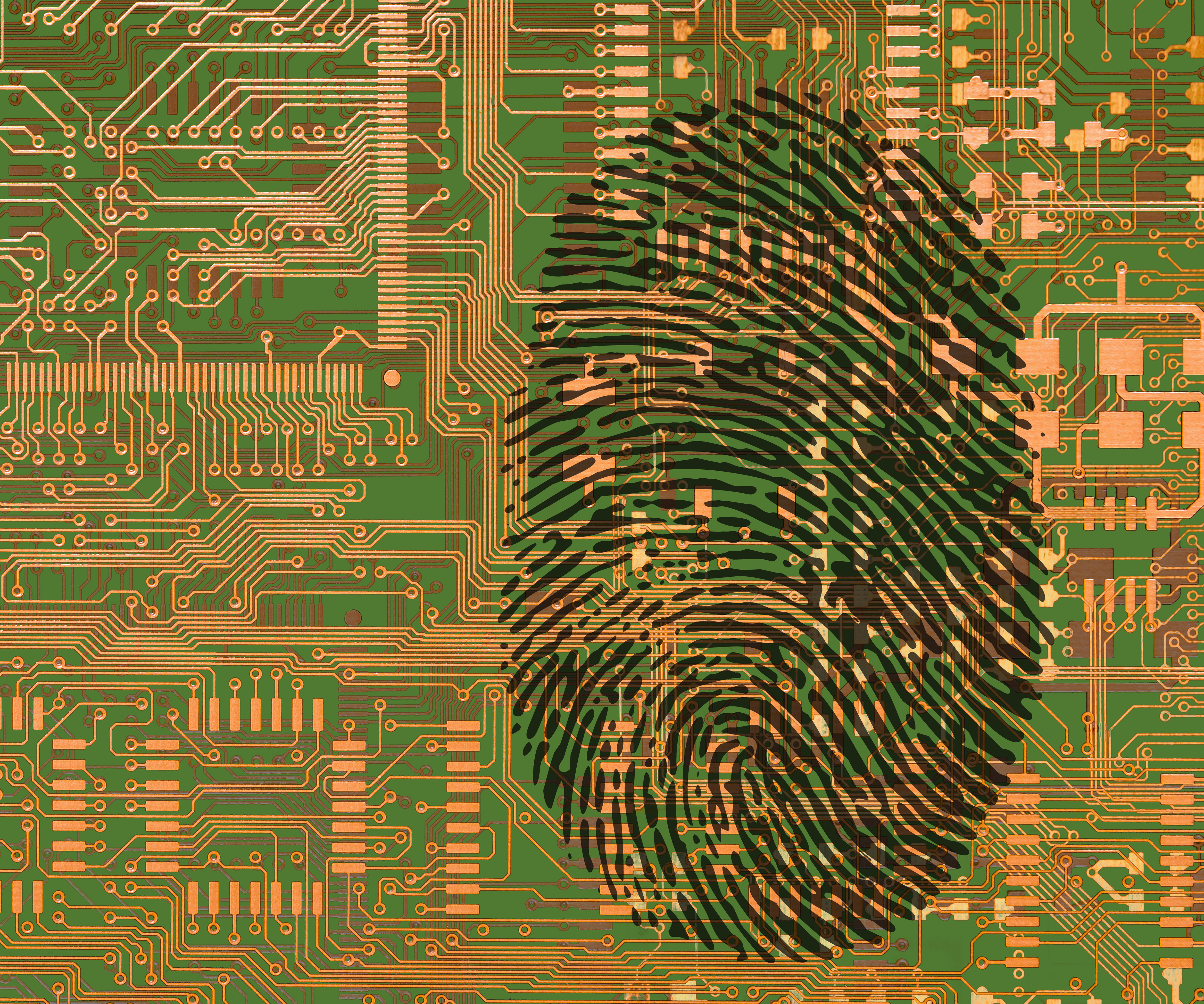 fingerprint board