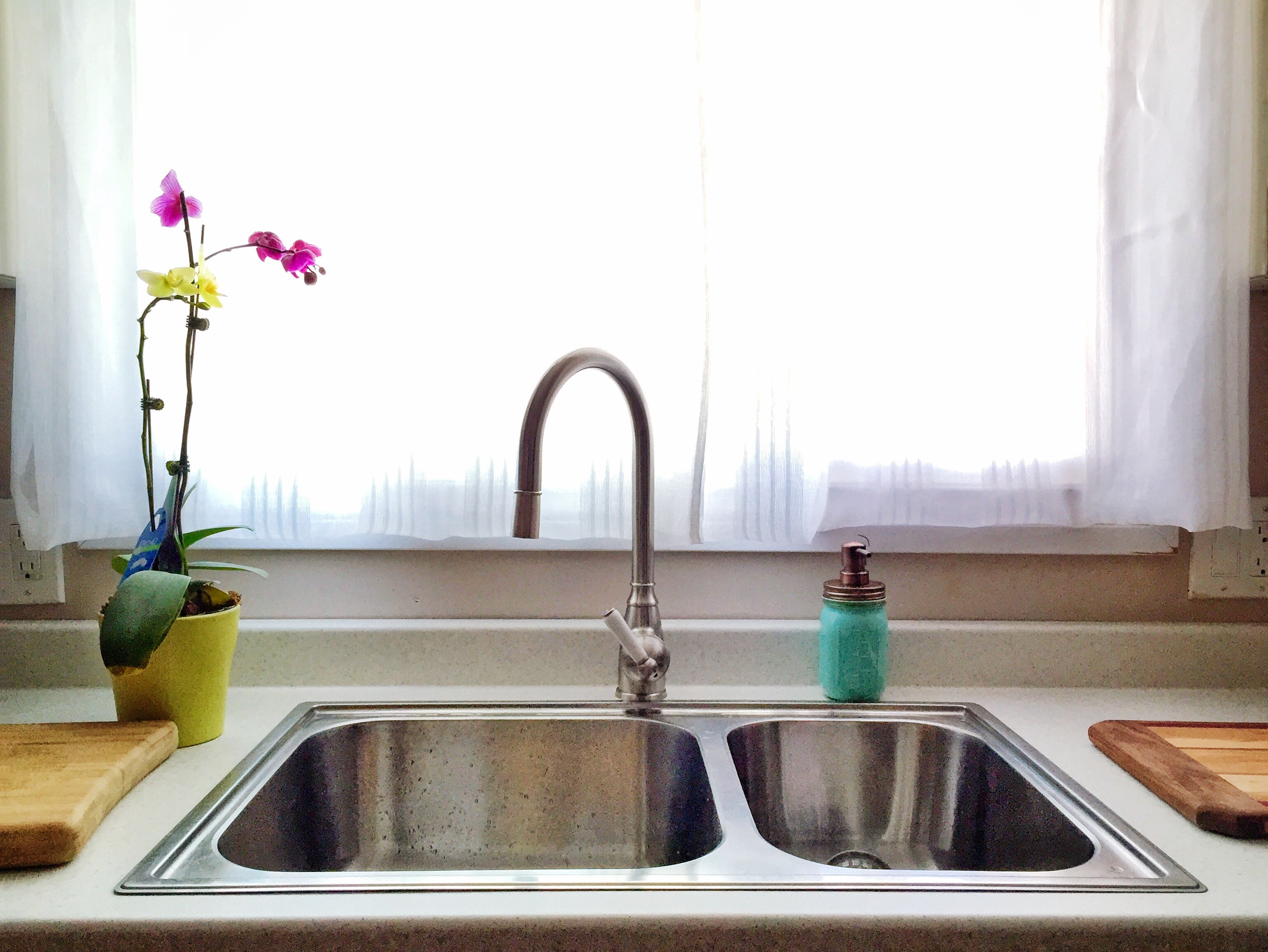 How to get rid of fruit flies kitchen sink