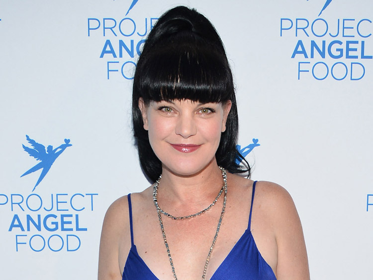 pauley perrette young