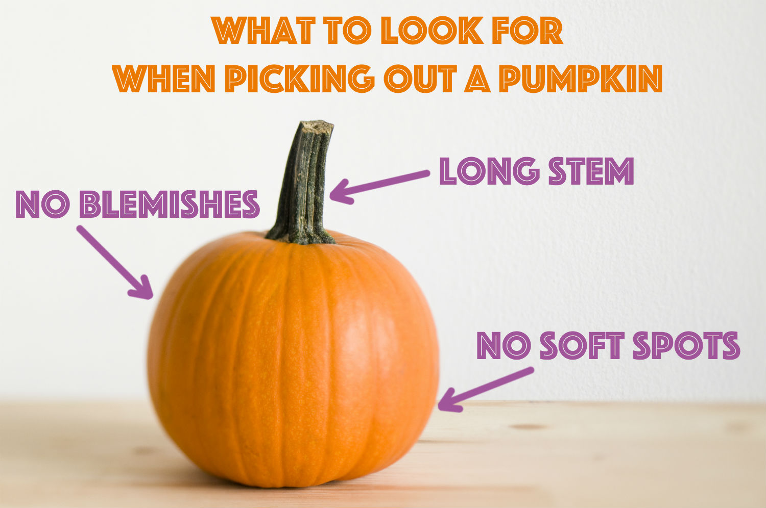 how to pick out a pumpkin getty