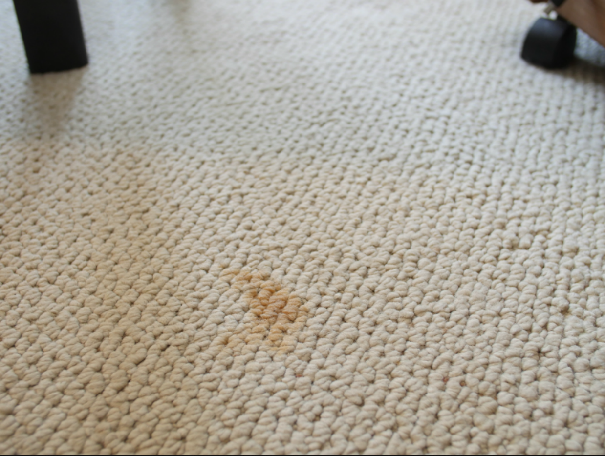 how to deep clean carpet without machine