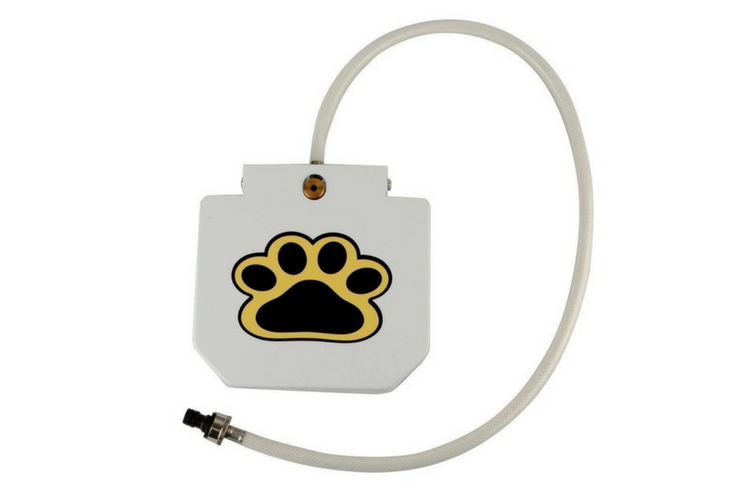 Outdoor Dog Water Fountain Hose Toy