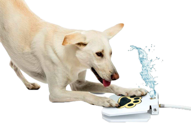 Outdoor Dog Water Fountain